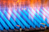 Algarkirk gas fired boilers